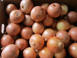 Yellow Onion