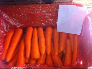 Fresh Carrot