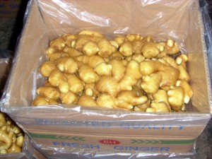 Fresh Ginger