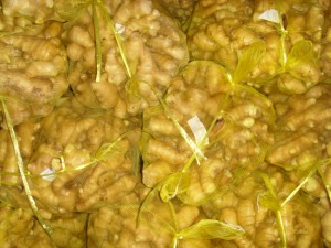 Fresh Ginger