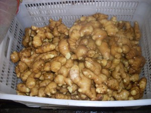 Fresh Ginger