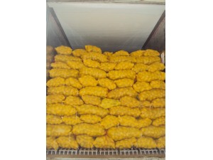 Fresh Potato